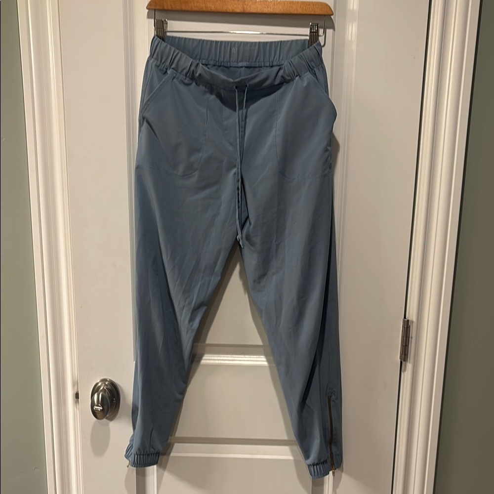 Albion fit blue jetsetter joggers